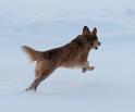 vriendin chelsey _30-01-10_4